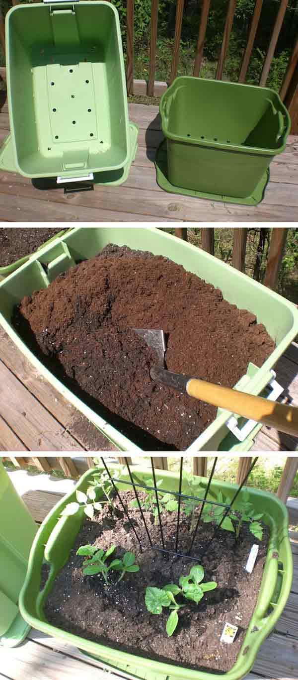 gardening-tips-woohome-19