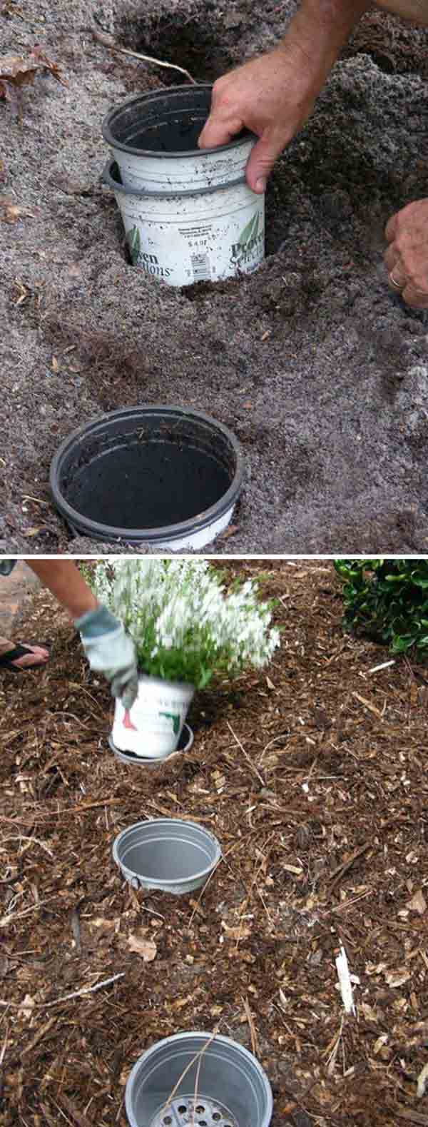 gardening-tips-woohome-4