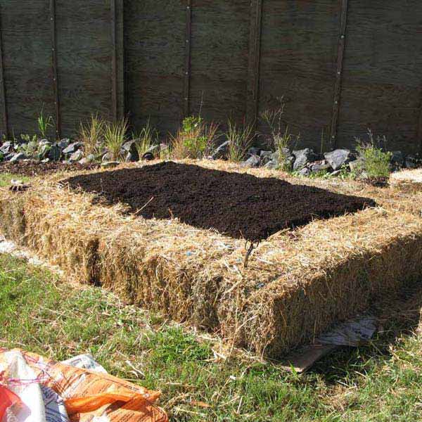 Garden-Bed-Edging-Ideas-Woohome-16