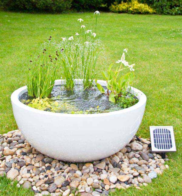 mini-pond-in-a-pot-woohome-17