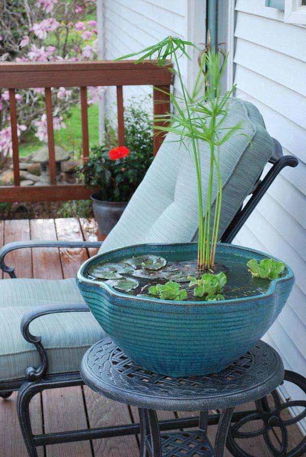 mini-pond-in-a-pot-woohome-2-2