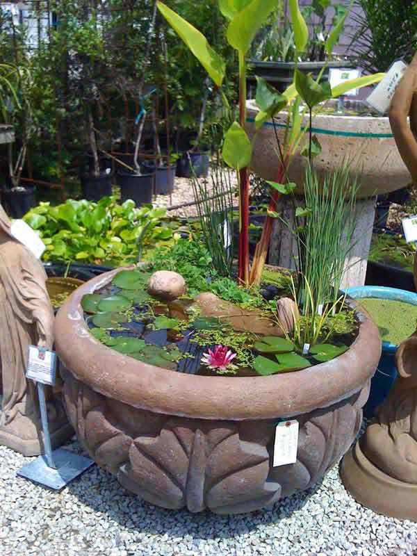 mini-pond-in-a-pot-woohome-20