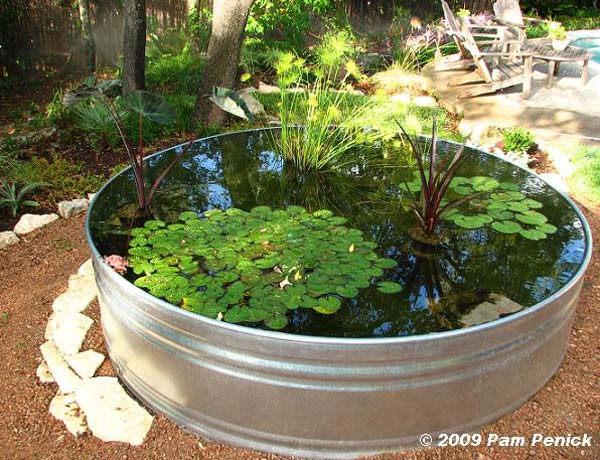 mini-pond-in-a-pot-woohome-4