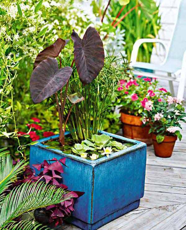 mini-pond-in-a-pot-woohome-5