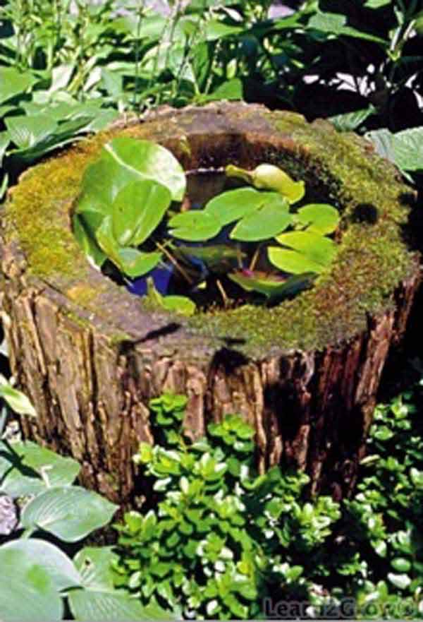 mini-pond-in-a-pot-woohome-8