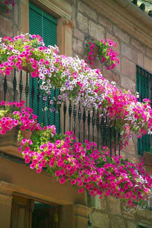 Spectacular-Balcony-Garden-Woohome-1