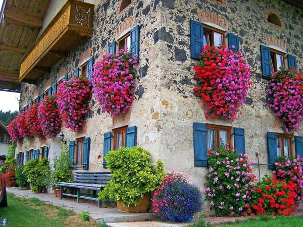 Spectacular-Balcony-Garden-Woohome-10