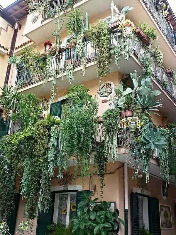 Spectacular-Balcony-Garden-Woohome-13