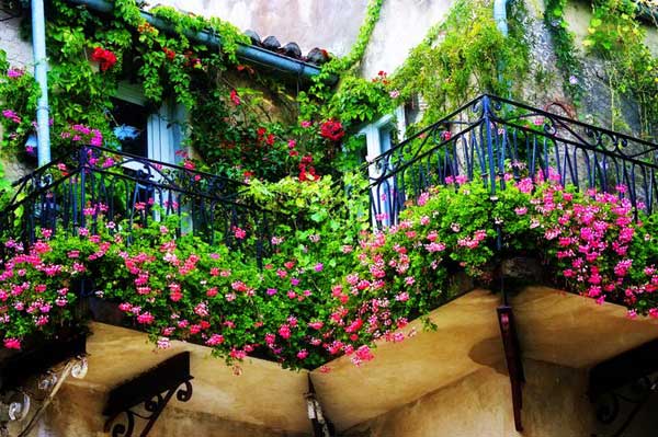 Spectacular-Balcony-Garden-Woohome-2