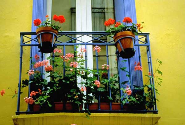 Spectacular-Balcony-Garden-Woohome-8