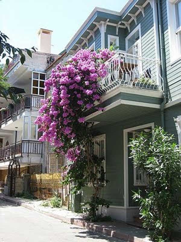 Spectacular-Balcony-Garden-Woohome-9