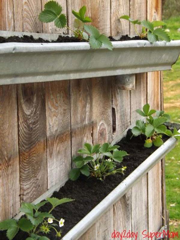 rain-gutter-repurposed-woohome-10