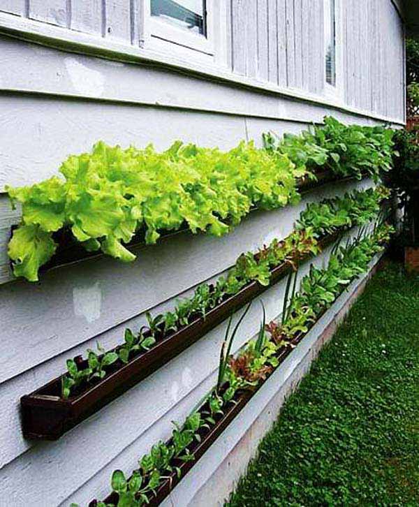 rain-gutter-repurposed-woohome-17