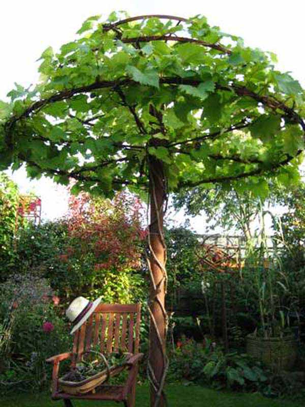 DIY-Backyard-Pergola-WooHome-9