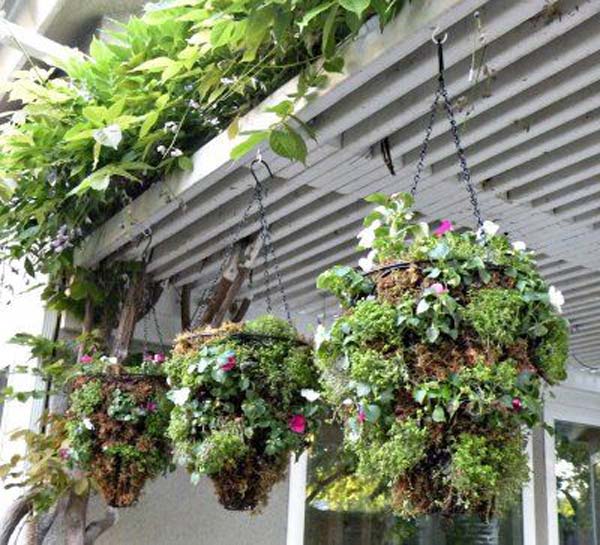 Hanging-Planter-Ideas-Woohome-20