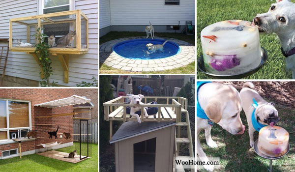 Projects-and-Tips-for-Pets-WooHome