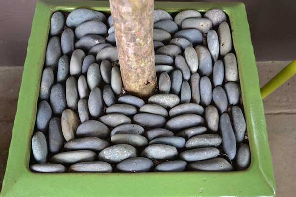 add-river-rocks-to-home-woohome-21