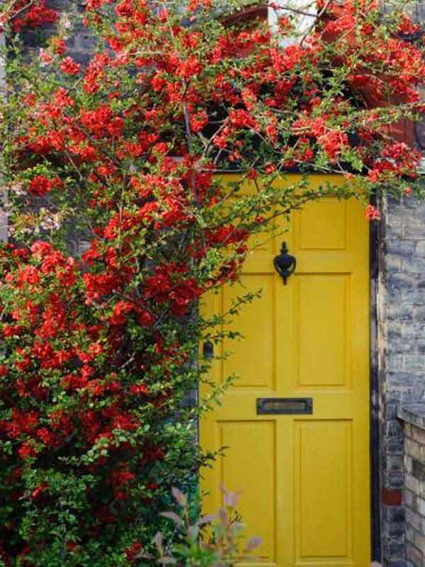 colored-front-door-31