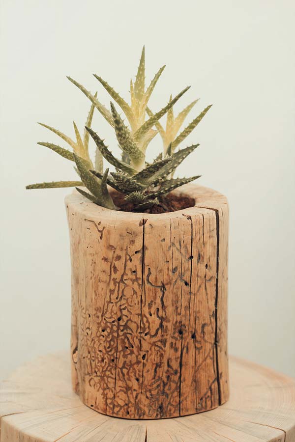 diy-stump-vase-11