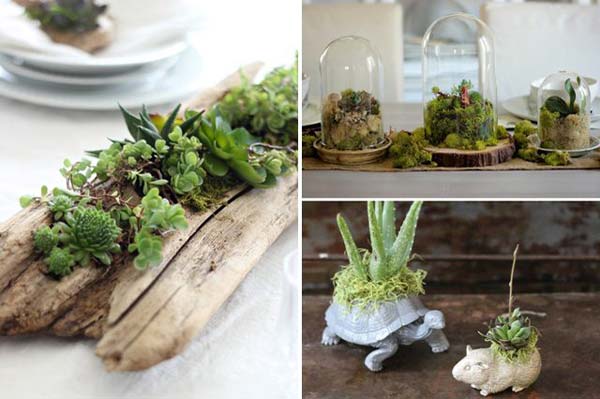 indoor-garden-projects-21