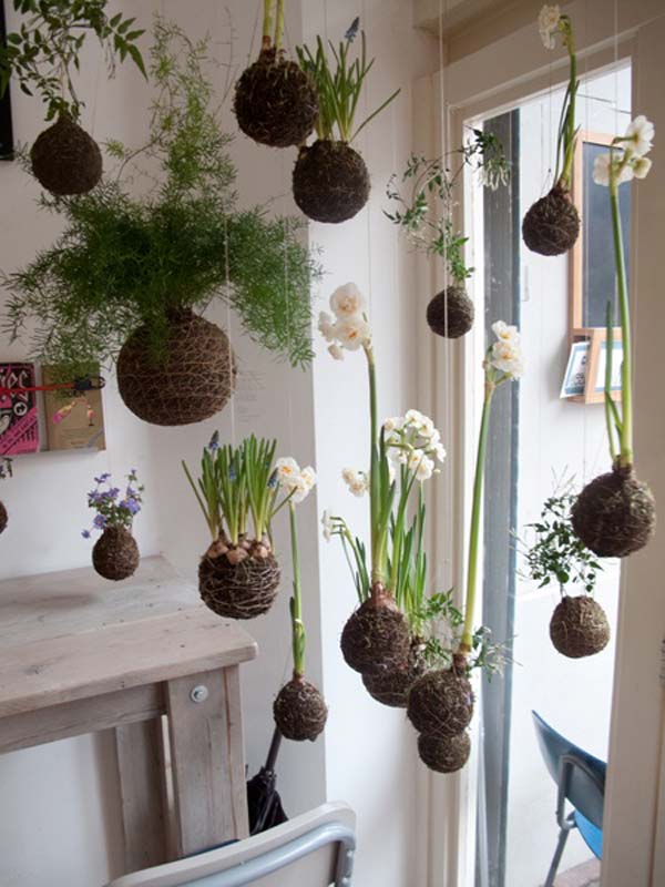 suspended indoor gardening