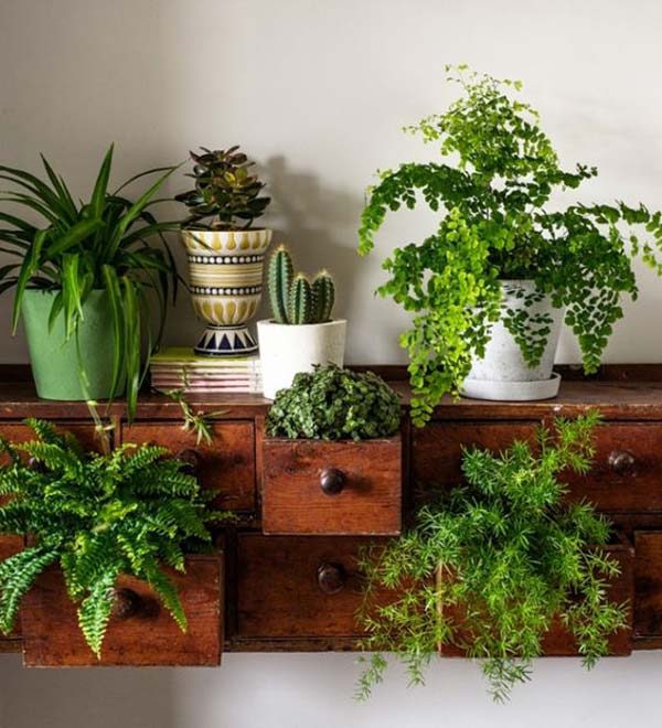 indoor-garden-projects-8