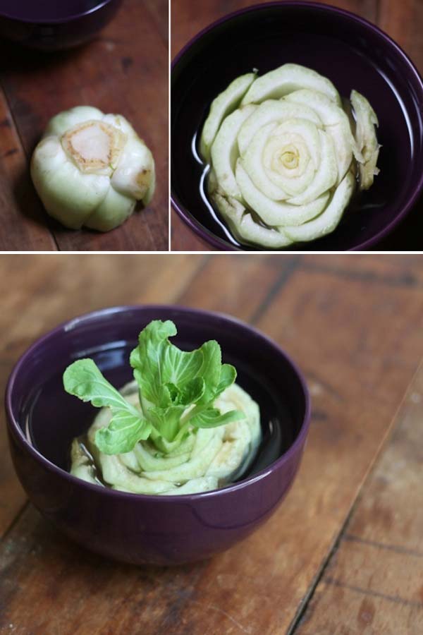 regrow-vegetable-kitchen-4_3