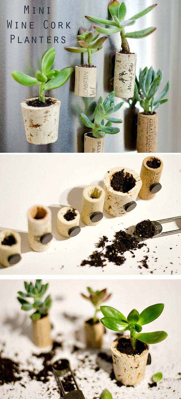 3-mini-wine-cork-planters-woohome