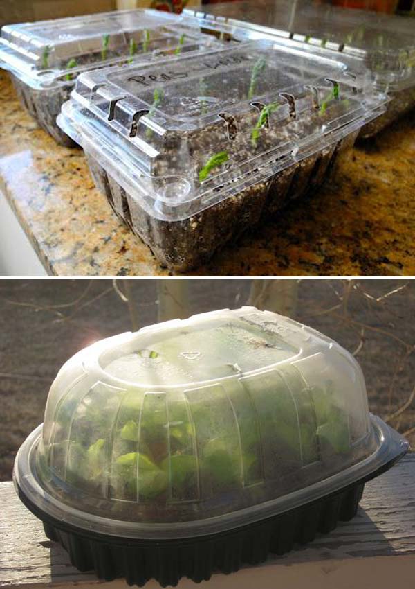 10-greenhouse-plastic-container