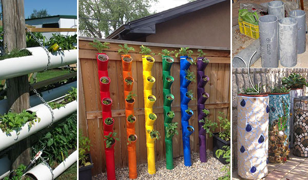 27 DIY PVC Pipe Garden Ideas and Gardening Tips