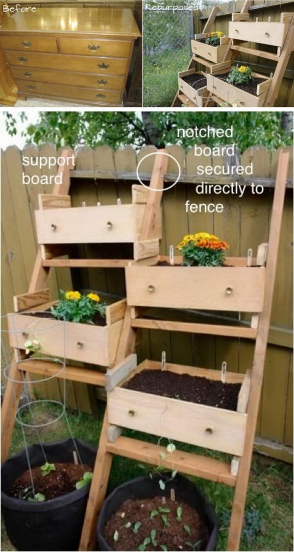 Dresser Drawers into a Veggie Garden