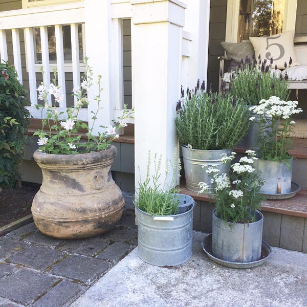 galvanized pots grouping