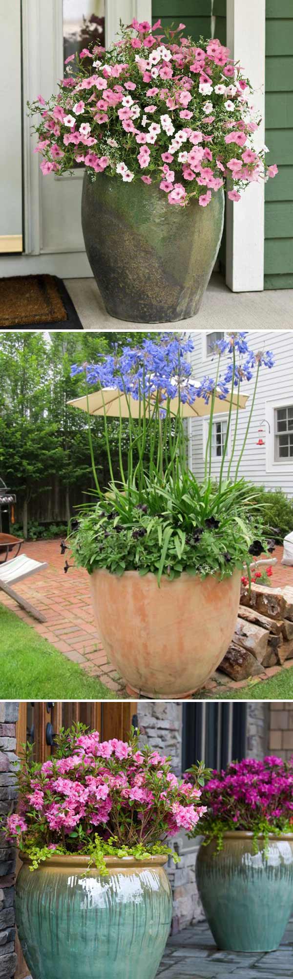 houseing your blooms in a giant glazed clay planter