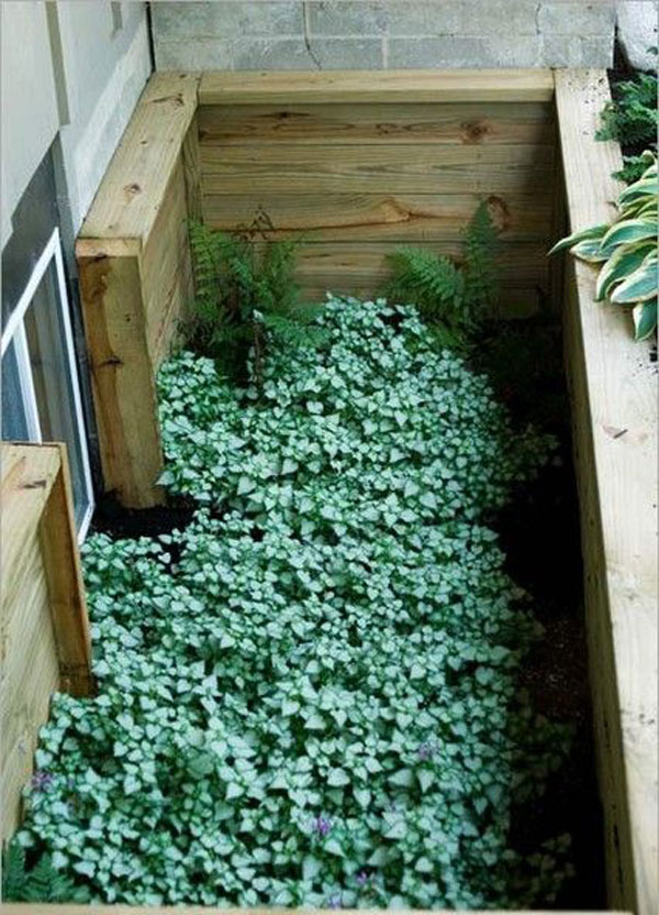 Best 20 Ideas to Make Your Window Wells Look Awesome - Amazing DIY
