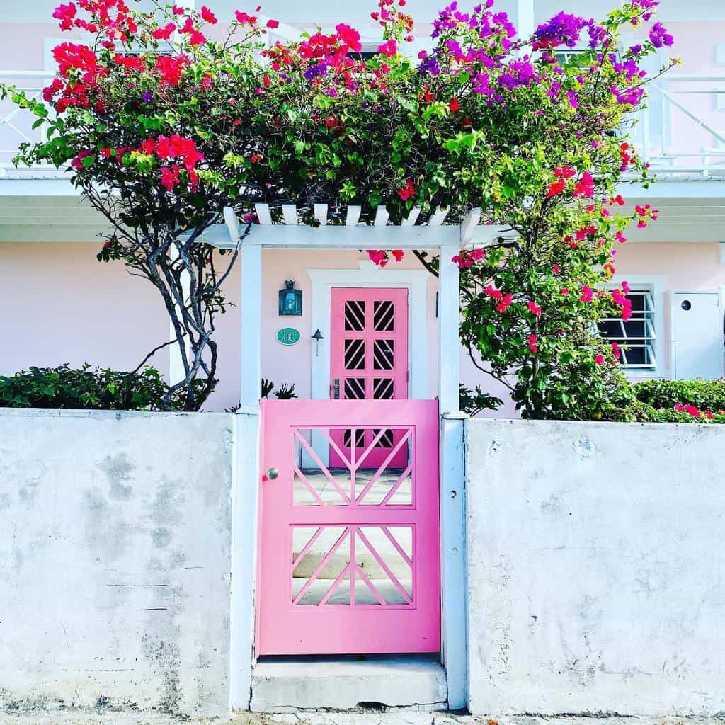 19 Best Garden Trellis Ideas and Designs