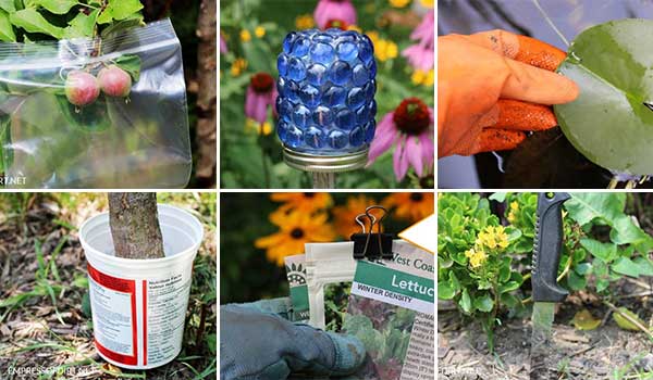 24 Smart, Affordable, and Simple Solutions to Garden Problems with Household Items