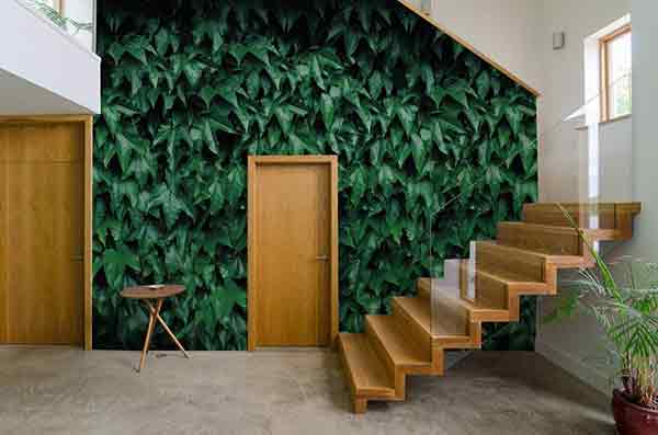 8 Beautiful Leaf Wallpapers That Bring Freshness to Your Home