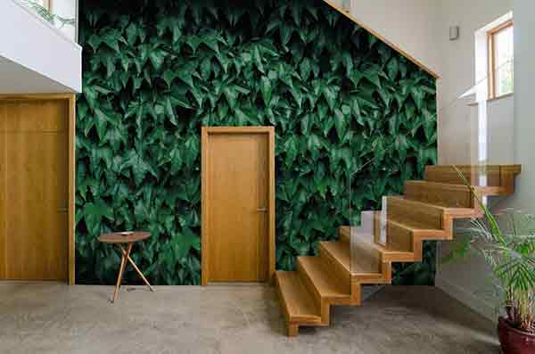 8 Beautiful Leaf Wallpapers That Bring Freshness to Your Home 8 Beautiful Leaf Wallpapers That Bring Freshness to Your Home