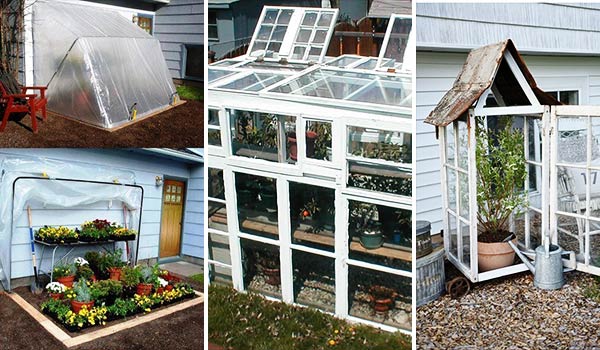 15 Easy, Cute, and Inspiring DIY Greenhouse Projects to Make a Good Beginning