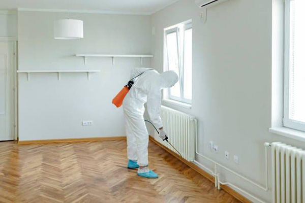 Five Reasons to Hire a Professional Pest Control Service
