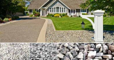 Top 6 Best Types of Gravel for Driveways (With Pros & Cons)