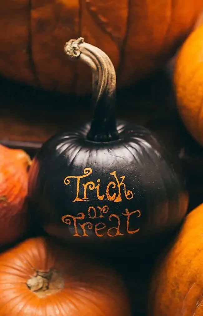 A small matte black pumpkin with a long, gnarled stem is decorated with “Trick or Treat” in glittery orange script.