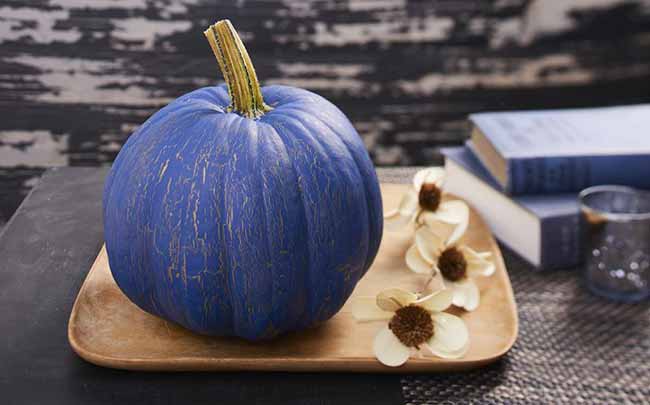 A deep blue pumpkin with gold streaks sits on a wooden tray, accented with white flowers and books in the background.